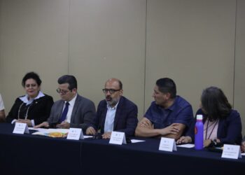 Se brinda cuidado y protección a gatos del Panteón de Morelia: Minerva Bautista