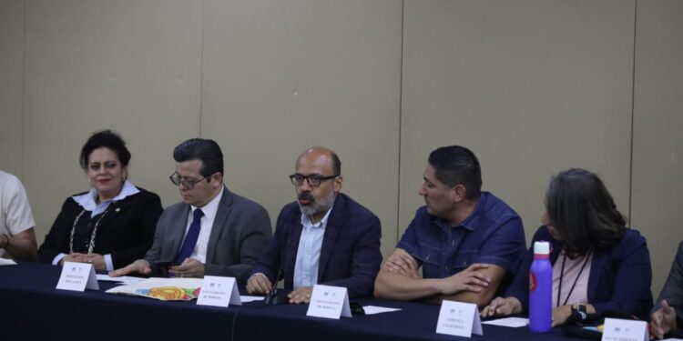 Se brinda cuidado y protección a gatos del Panteón de Morelia: Minerva Bautista