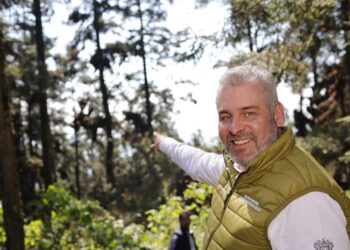 Michoacán logra erradicación histórica de la tala clandestina en Reserva de la Monarca: Bedolla