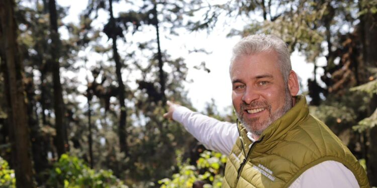 Michoacán logra erradicación histórica de la tala clandestina en Reserva de la Monarca: Bedolla