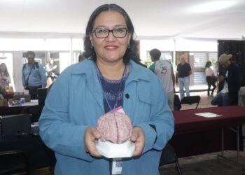 Alerta IMSS Michoacán sobre los principales síntomas de la encefalitis