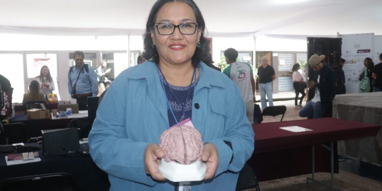 Alerta IMSS Michoacán sobre los principales síntomas de la encefalitis