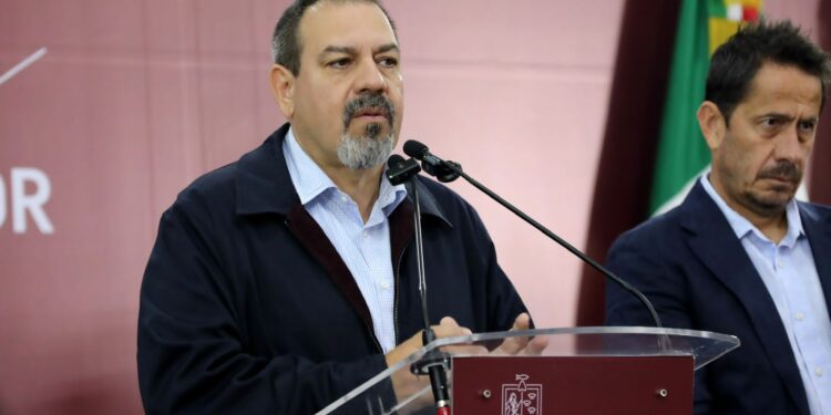 Michoacán alcanza cifra récord de 3.3 millones de árboles plantados en la Reserva de la Monarca