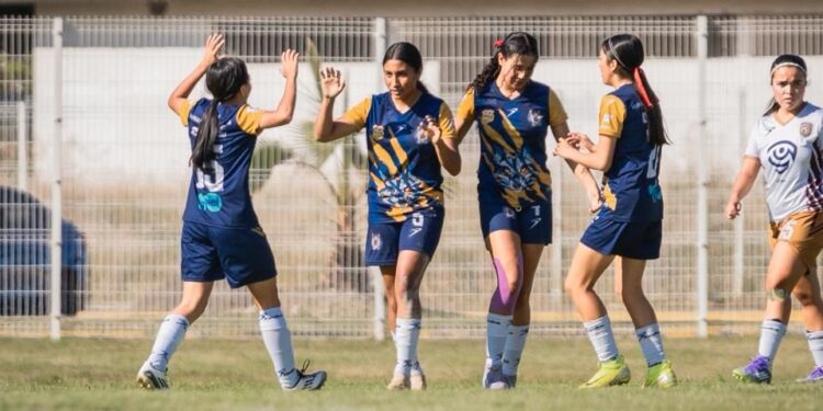 UMSNH realizará el III Congreso Internacional en Ciencias Jurídicas; se invita a participar