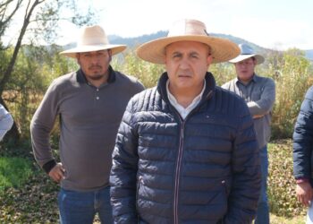 Michoacán rehabilitará 60 hectáreas del lago de Cuitzeo