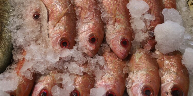 Centros para el Bienestar también facilitan el acceso a la salud en Michoacán