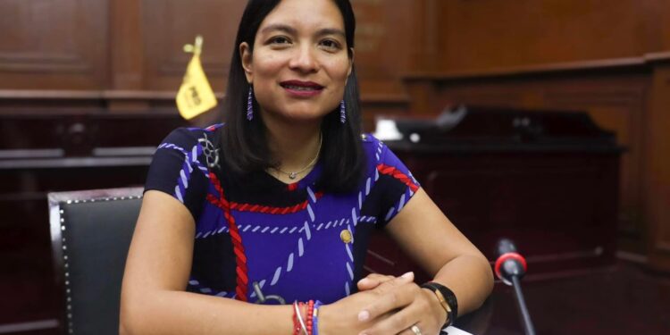 Propone Erendira Isauro reforma para frenar propaganda electoral pagada por terceros en Michoacán